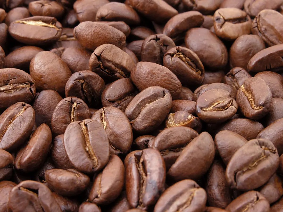 Close-up of freshly roasted coffee beans